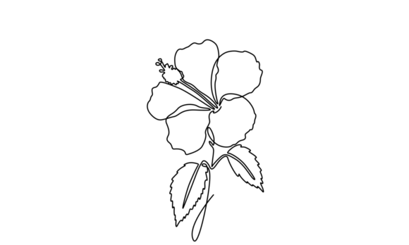 Animated Hibiscus Flowers: Motion Graphics for Modern Design