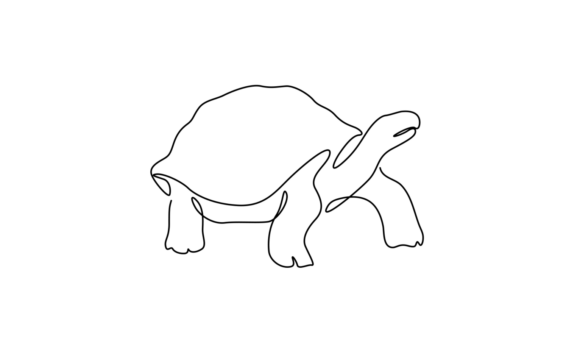 Animated Line Art of a Turtle: The Beauty of Minimal Motion