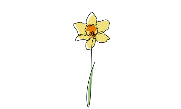 Animated Wild Daffodil Flowers Motion
