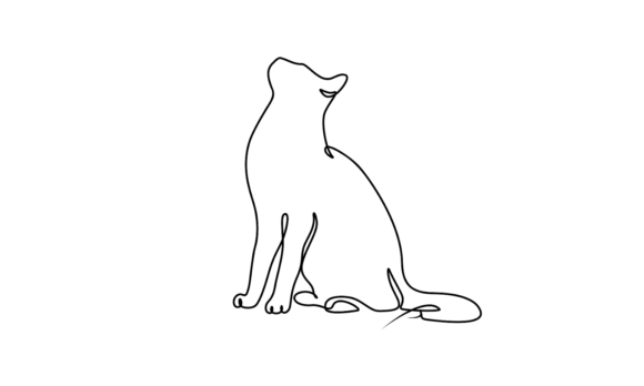 Bringing Feline Grace to Life: The 2 Cats Animated Typeface