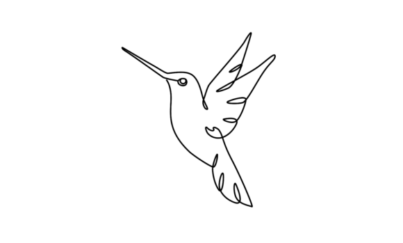 Bringing Nature to Motion: The Calliope Hummingbird Line Art