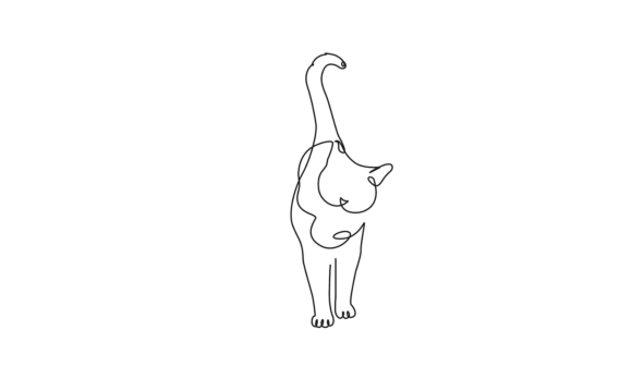 Cats Animated Continuous Single-line: The Energetic, Modern Typeface