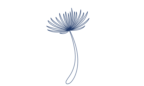 Elevate Your Visuals with Animated Line Art of Flying Seeds Flower