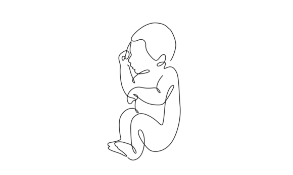 The Art of the Animated Line Newborn Baby
