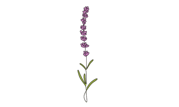 The Calming Motion of Animated Lavender Flowers
